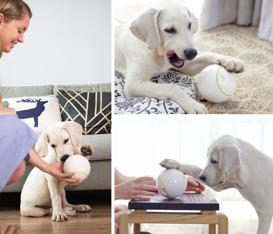 Foodie Orb Petgeek
