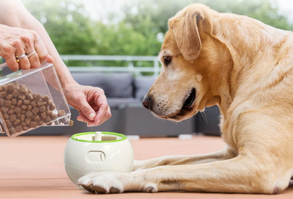 Foodie Orb Petgeek