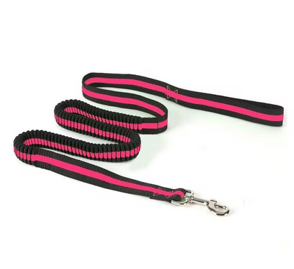 Laisse élastique Paws and Son
