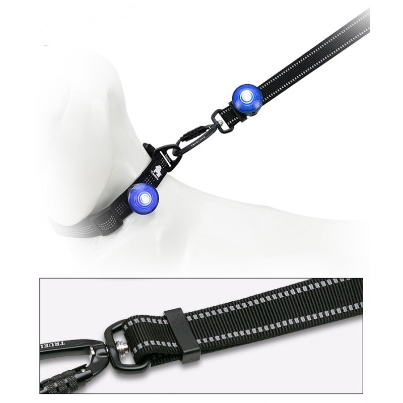 LED TRUELOVE TrueLove