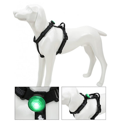 LED TRUELOVE TrueLove