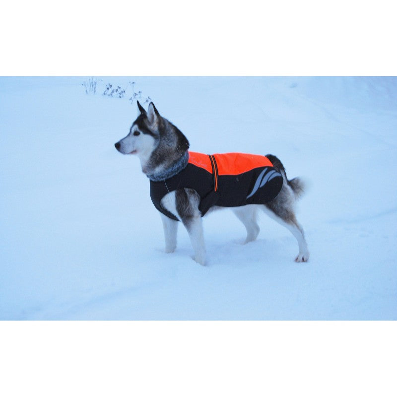 Manteau Truelove Snow TrueLove