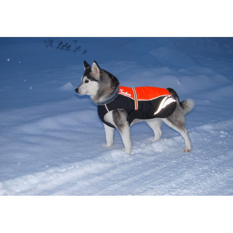 Manteau Truelove Snow TrueLove