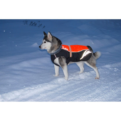 Manteau Truelove Snow TrueLove