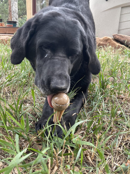 Dental Tower Soda Pup