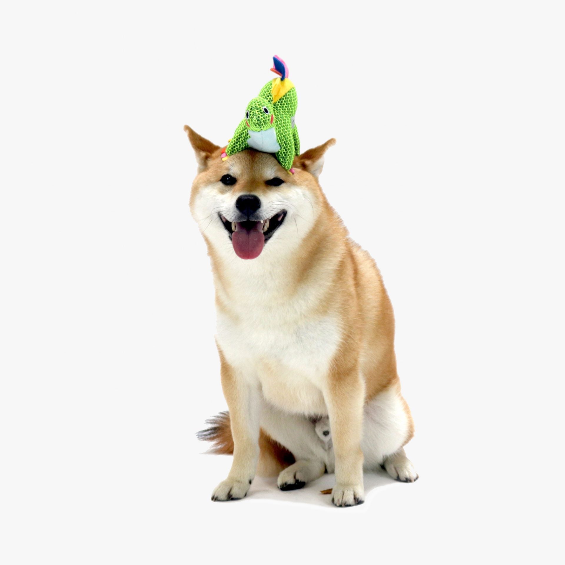 Dinosaure Green Hugsmart