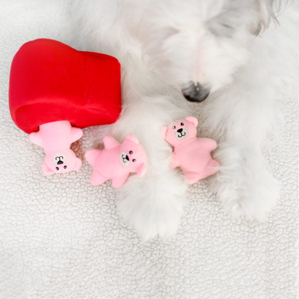 Cœur et oursons Zippy Paws